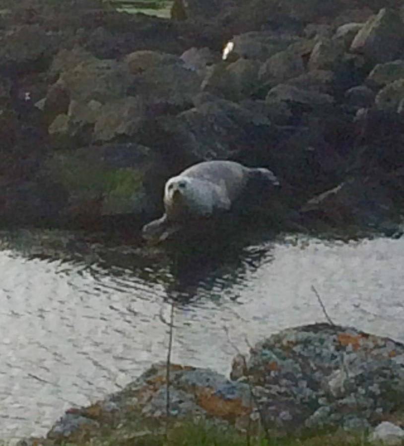 Burnside Lodge Portnahaven Zewnętrze zdjęcie